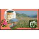 WILD FLOWER HIGH MOUNTAIN HONEY 